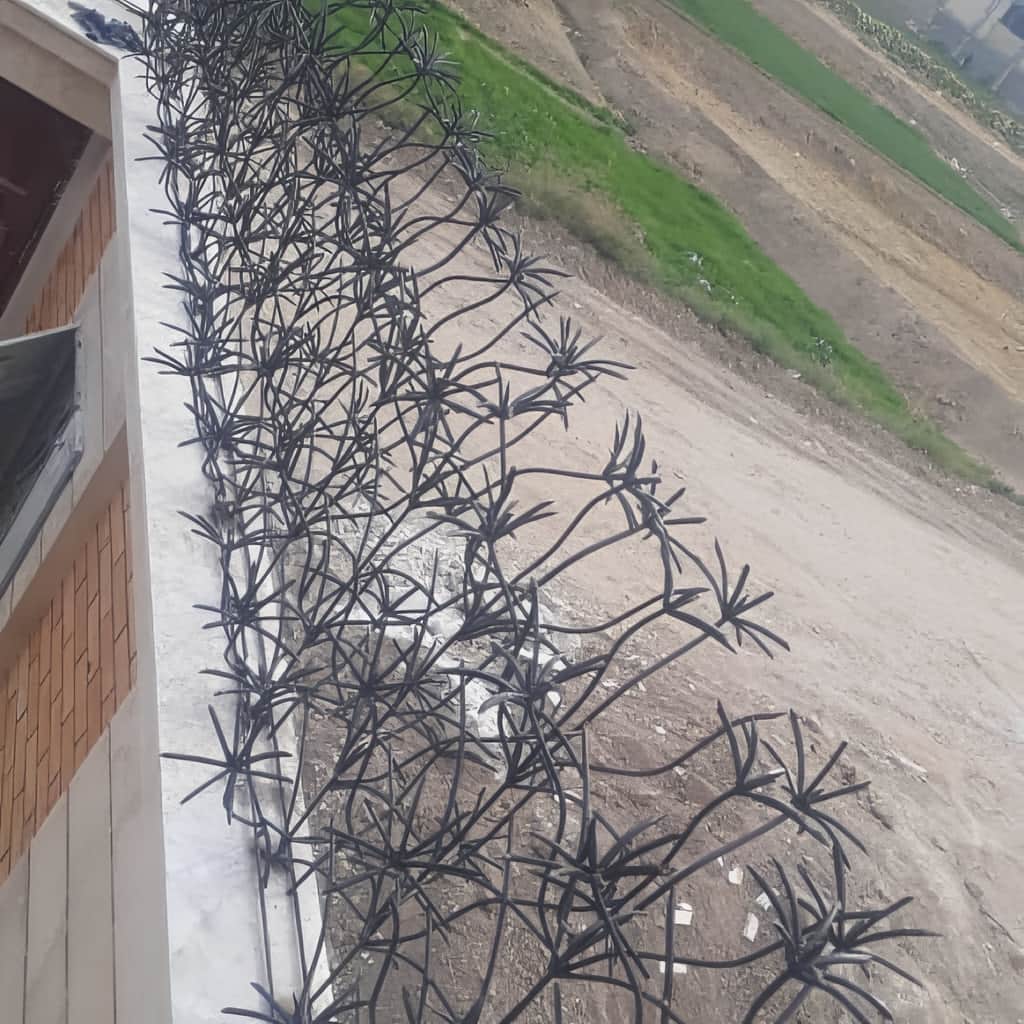 حفاظ شاخه ای محوطه بیرونی
