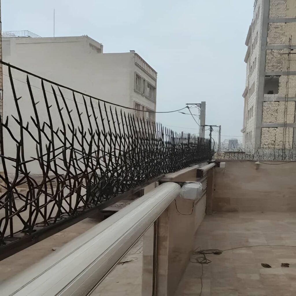 حفاظ لیلیوم ساختمان