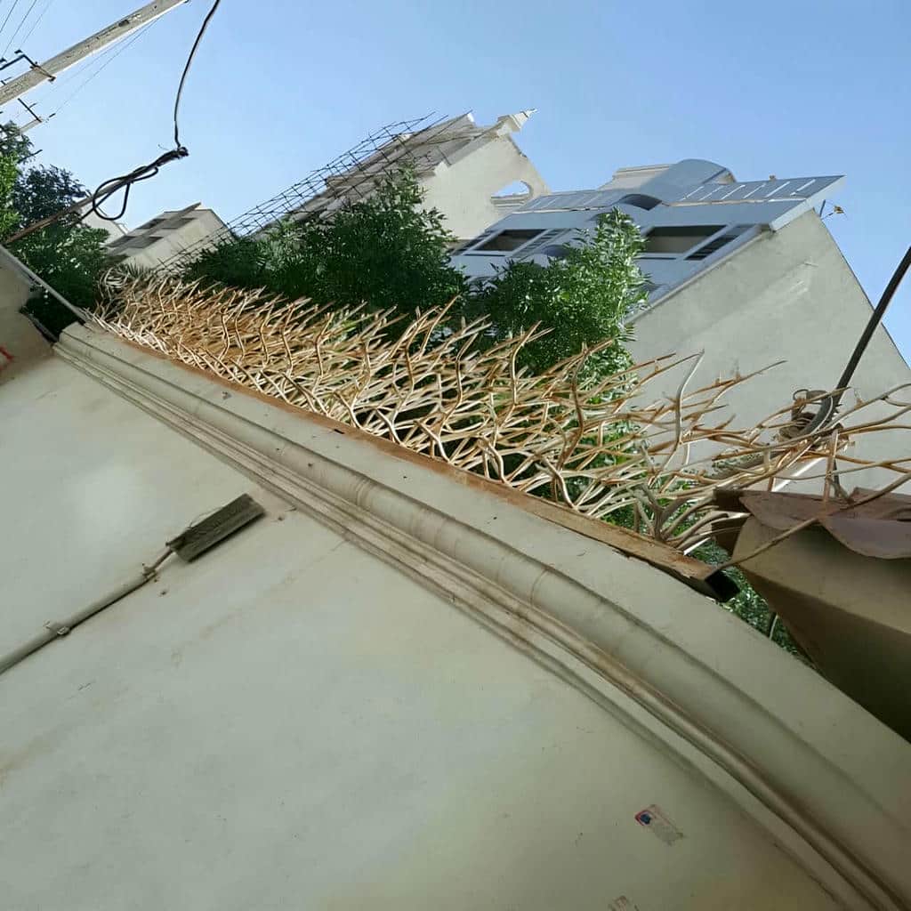 حفاظ شاخ گوزنی مقاوم حفاظ شاخ گوزنی مقاوم