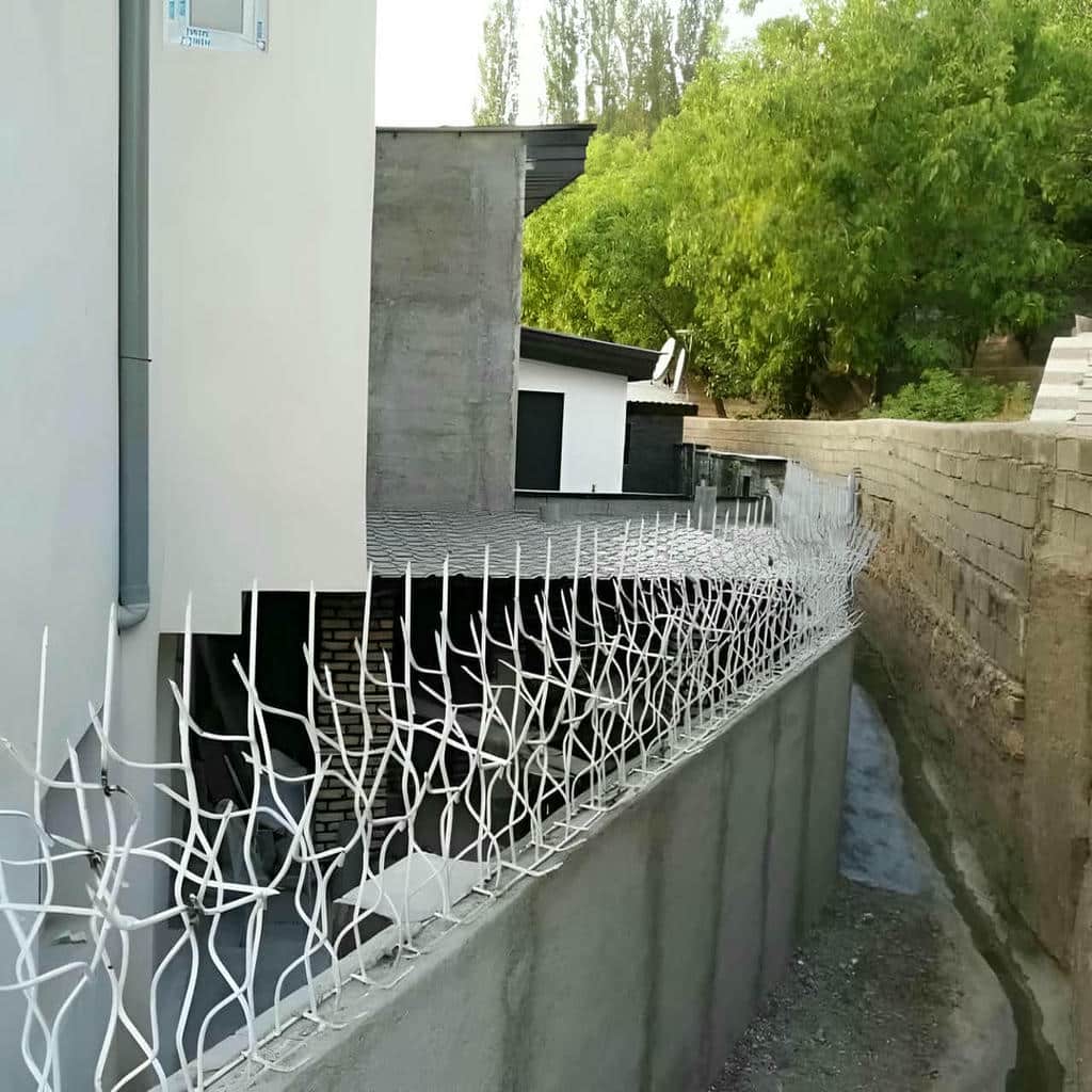 حفاظ دیوار شاخ گوزنی روی نمای ساختمان