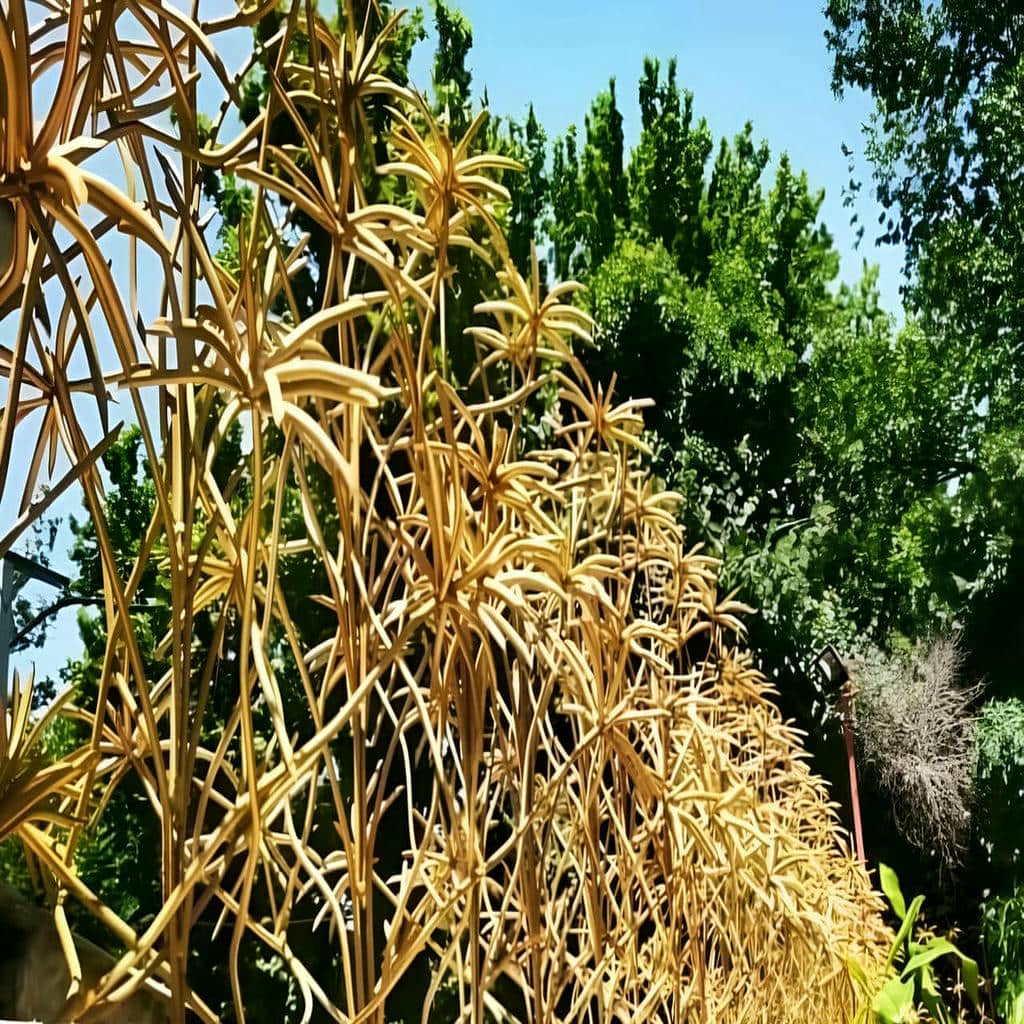 مرکز فروش تخصصی حفاظ نخل مرداب ویژه سفارش اینترنتی و ارسال به شهرستان