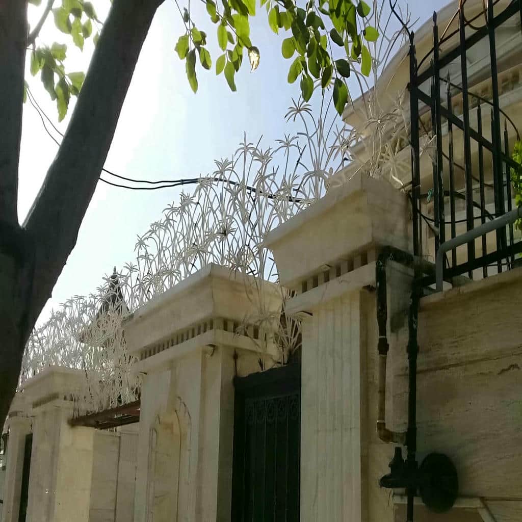 مدل شاخه ای حفاظ نخل مرداب