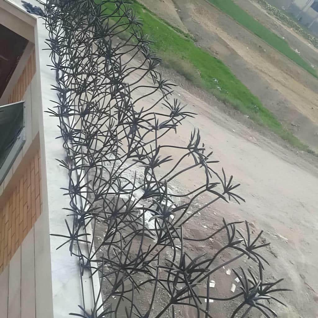 نرده حفاظ نخل مرداب سفارشی
