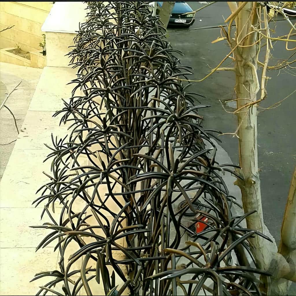 حفاظ نخل مرداب با پوشش مقاوم