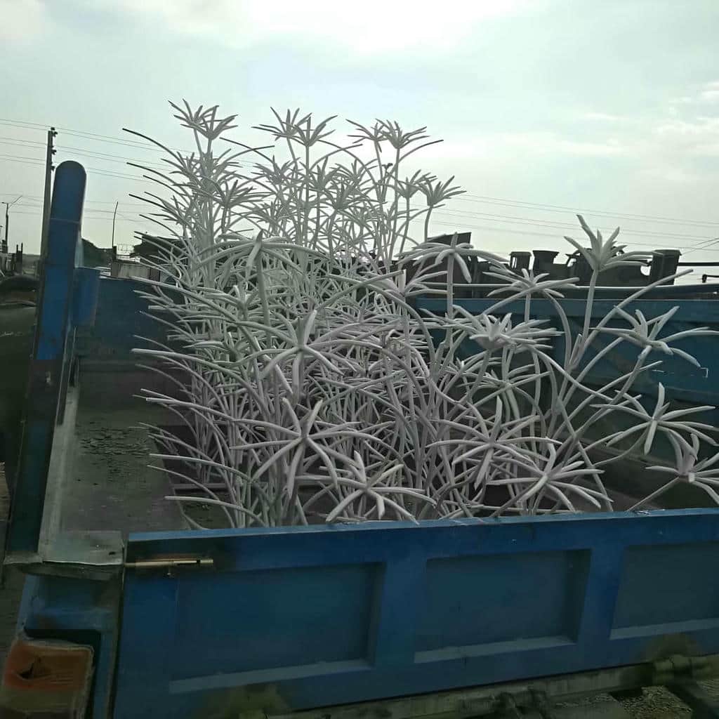حفاظ شاخ گوزنی روی دیوار بتنی